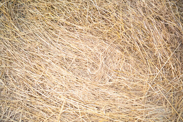 texture of hay