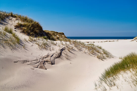 White sand dunes on beach, Amrum, North Frisia, North Frisian Islands, Nordfriesland, Schleswig-Holstein, Germany