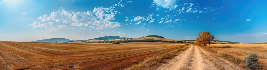 Obraz premium Country Road Through a Golden Field with Blue Sky