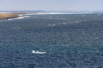冬の根室湾に漂流する流氷