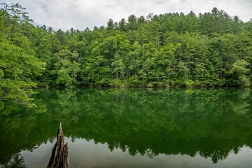 lake in summer with greenery