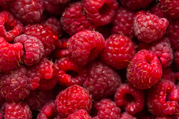 fresh raspberries close-up macro photography, shallow depth of field