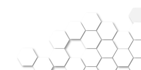 Technology hexagon honeycomb white background with shadow hexagon concept design abstract technology background, vector illustration.