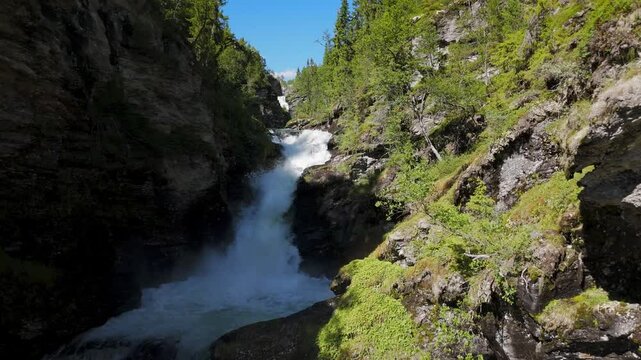 Norwegian scenic Waterfall in a Forest 1 (Rec 709-version)
