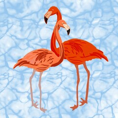 illustration of a flamingo