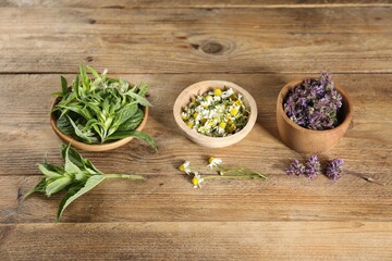 Different healing herbs in bowls on wooden table