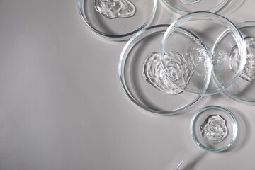 Petri dishes with samples and pipette on grey background, top view. Space for text