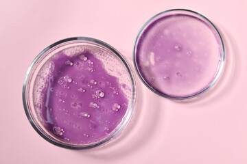 Petri dishes with samples on pink background, top view