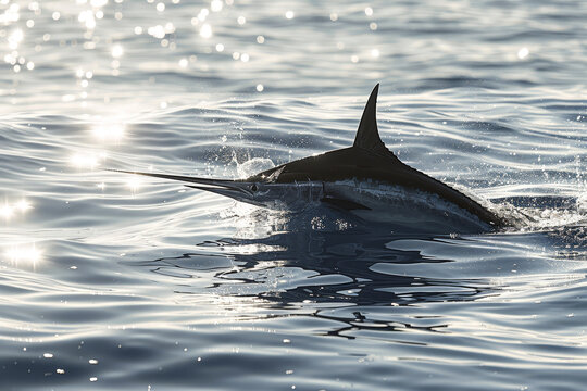 A large fish is swimming in the ocean with its tail flapping
