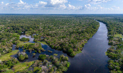 Amazônia © Elton Viana