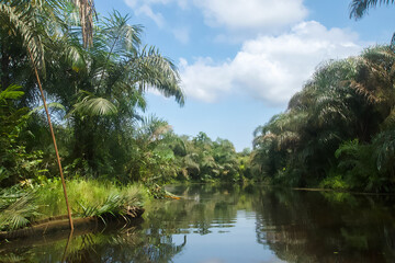 Beautiful view of the Black River