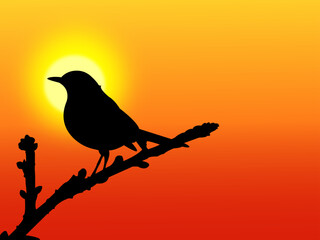 silhouette of a bird