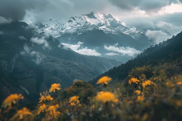 Majestic Mountain Landscape with a Blanket of Clouds