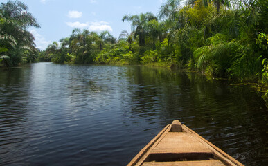 Obraz premium Exploring a Remote Tropical River in Africa