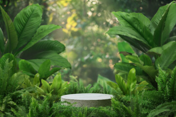 Concrete podium tabletop floor in outdoor tropical garden forest blurred green leaf plant nature...