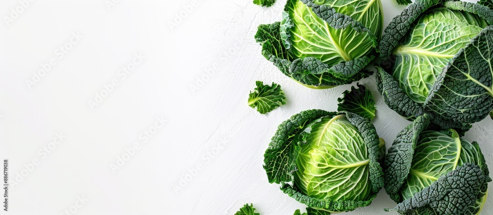 Poster fresh cabbage with copy space image on a white background