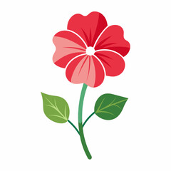 Geranium flower vector illustration 