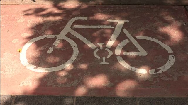 Bicycle sign on the bike path.