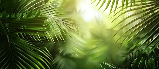 Luxurious palm leaf pattern background with abstract blur and shadow highlighting nature concepts in the copy space image