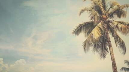 Tropical palm tree standing tall against a clear sky, evoking a serene and relaxed beach atmosphere. Concept of vacation, nature, and tropical serenity.
