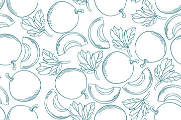 seamless pattern melon vector drawing