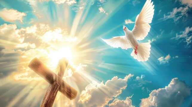 White dove flying near a wooden cross in a sunlit sky, symbolizing the Holy Spirit.