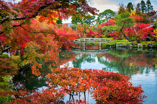 Colourful autumnal trees surrounding Eikando Temple, Kyoto, Japan