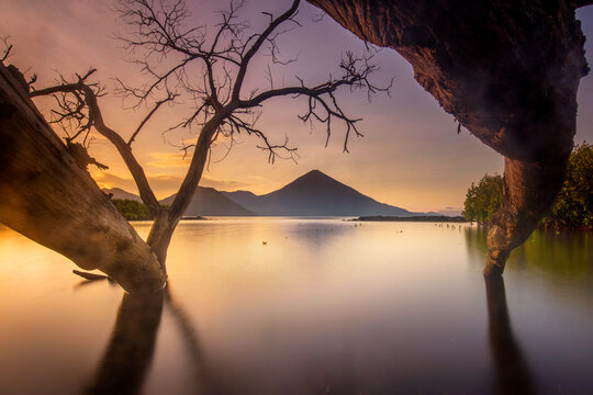 Coastal beach landscape with trees at sunrise, Ternate island, North Maluku, Maluku Islands, Indonesia