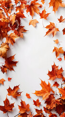 Fototapeta premium Orange maple leaves on white background. autumn seasonal background. Vertical autumn seasonal background. Flat lay with copy space