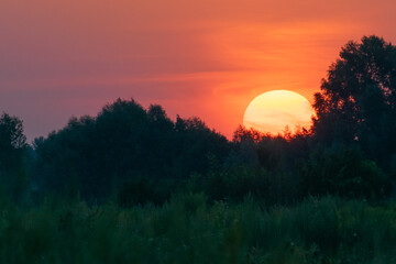 sunrise over the forest