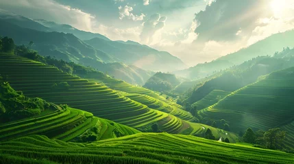 Fotobehang A landscape with terraced rice fields filling © Yelena
