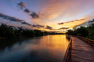 Close-up view of the natural background of the wooden bridge, which is surrounded by mangrove forests, colorful leaves of the leaves, blown through the blurred coolness during ecological travel.