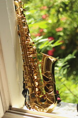 Alto Saxophone in Nature with Beautiful Bokeh: Wide Aperture Shot