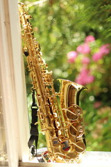 Alto Saxophone in Nature with Beautiful Bokeh: Wide Aperture Shot