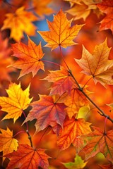 Autumn leaves in the forest