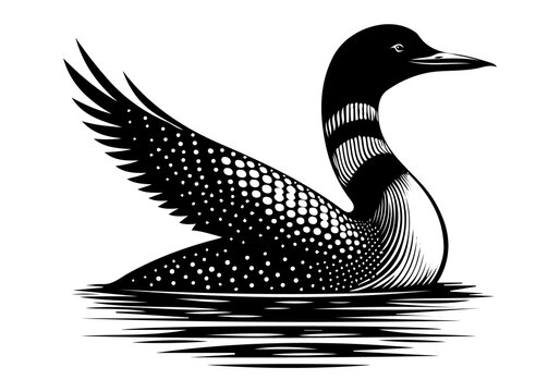 recommend clip art: loon bird silhouette vector style art illustration isolated on transparent background- Generative AI