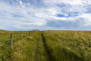 Green fields in rural Sussex with blue sky and fluffy clouds overhead