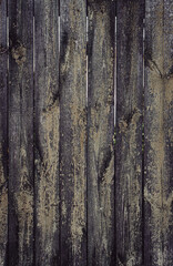 Fototapeta premium Zwietrzałe panele drewniane. Stare drewniane tło. Tekstura twardego drewna. Płot z drewna grunge. Stare malowane deski. Naturalne tło. Drewno grunge spękane.