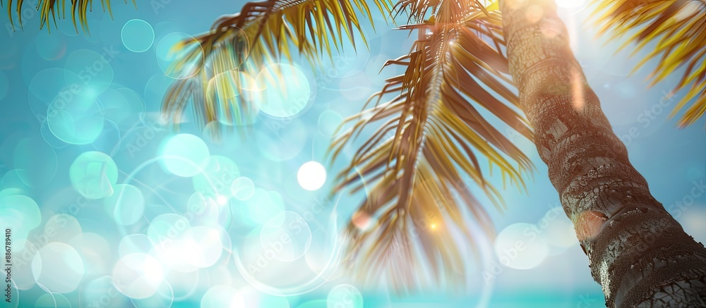 Aufkleber blurred coconut tree with the sunlit blue sky and bokeh effects in the background, creating a serene