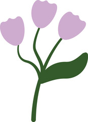 Organic Flat Tulip Flowers. Vector Illustration