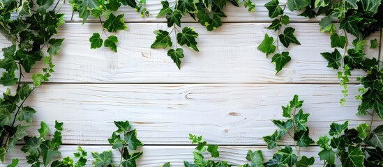 A white wooden background decorated with vine leaves provides a pleasing copy space image.