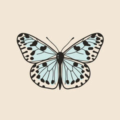 Illustration of a Beautiful Blue Butterfly Design