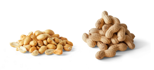 two piles of peeled and shelled peanuts isolated on white or transparent background