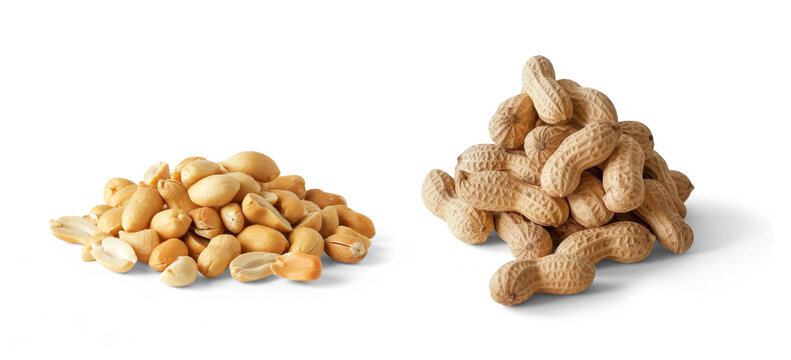 two piles of peeled and shelled peanuts isolated on white or transparent background