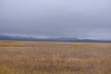 landscape with fog