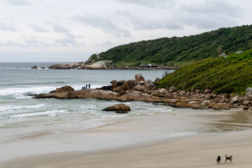 beach in the morning