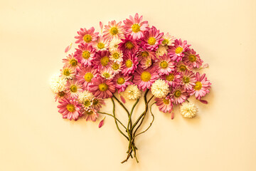 floral composition, bunch of flowers, isolated, copy space