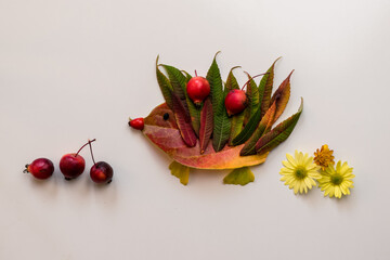 creative ideas from autumn craft, colorful leaves and plants arranged in creative composition