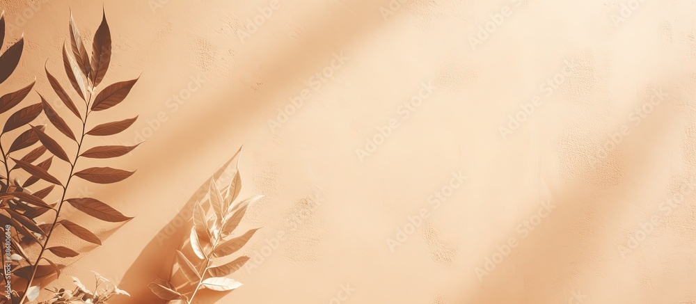 Aufkleber copy space image of abstract natural leaf shadows on a beige wall texture background, perfect for a 
