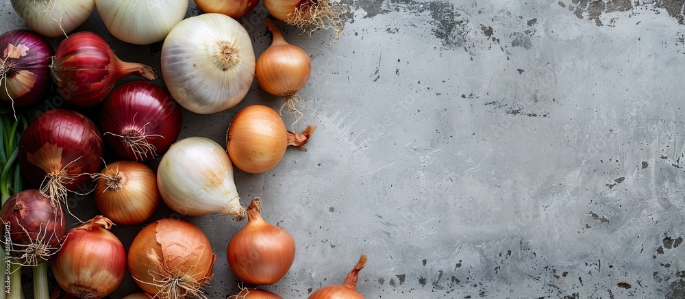 Poster A variety of onions arranged on a gray concrete surface with available copy space image.